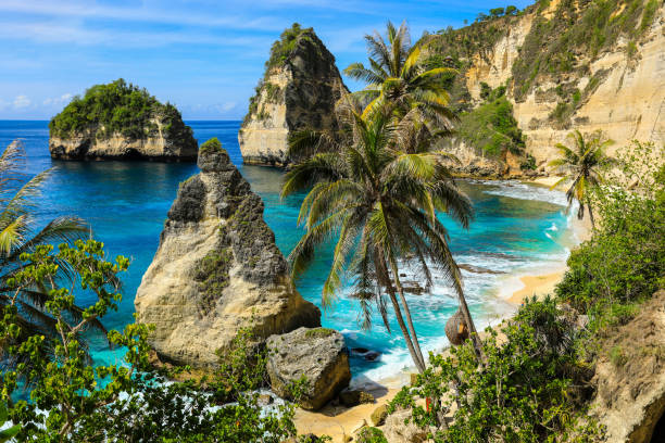 Beautiful diamond beach. View of nice tropical beach with palms trees. Holiday and vacation concept.